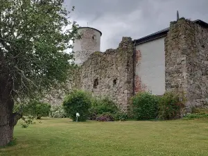 Stegeholms slottsruin