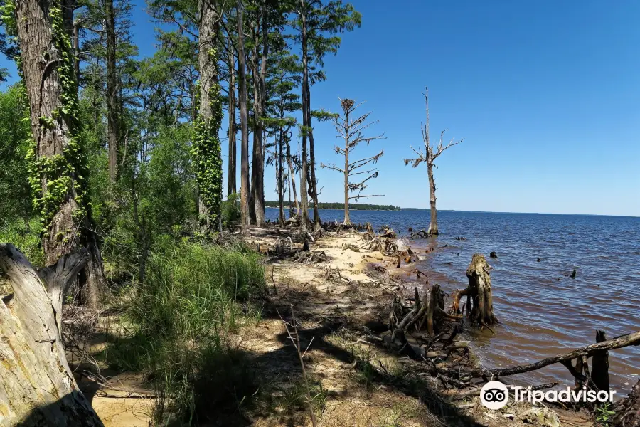 Pine Cliffs Recreation Area - Neusiok Trail