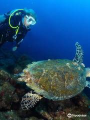 Mundo Submarino (Buceo)