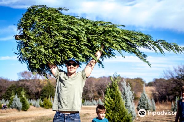 Mainstay Farm
