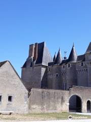 Schloss Fougères-sur-Bièvre