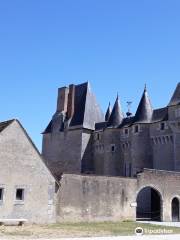 Castillo de Fougères-sur-Bièvre