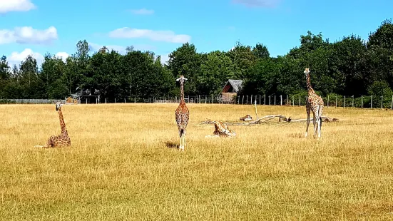 ゾオ・デュ・レヌー公園