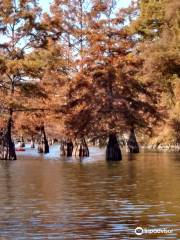 Lake Chicot State Park