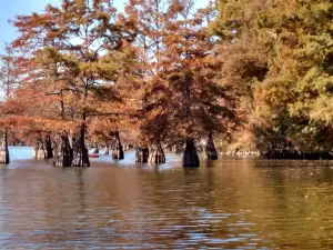 Lake Chicot State Park