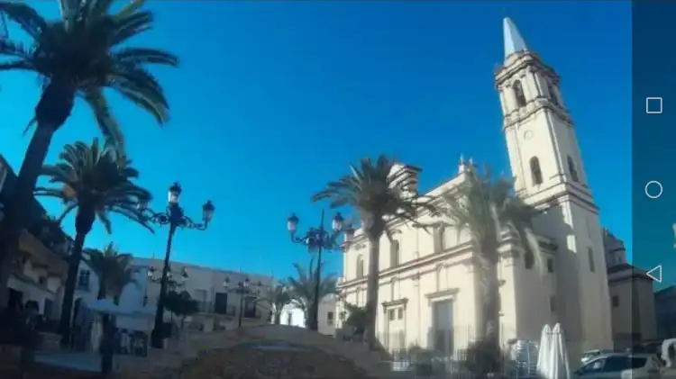 Trigueros