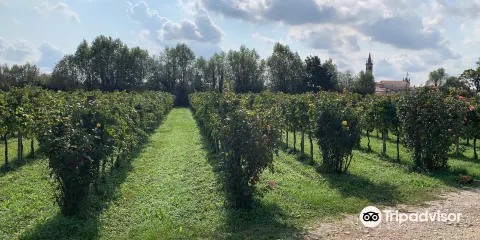 Azienda Agricola Paolo Ferrin