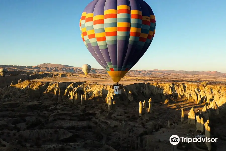 Skyway Balloons