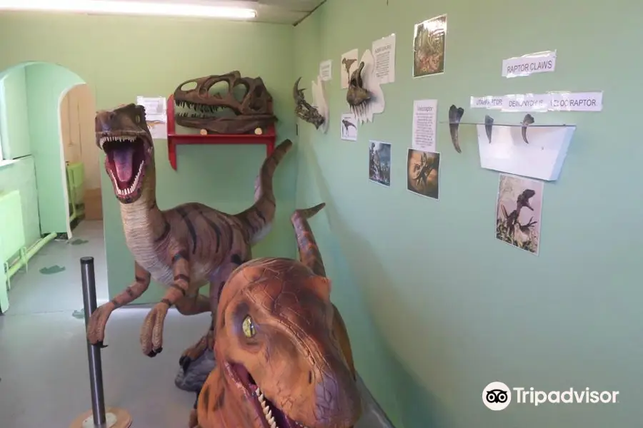 Dinosaur And Raptor Experience