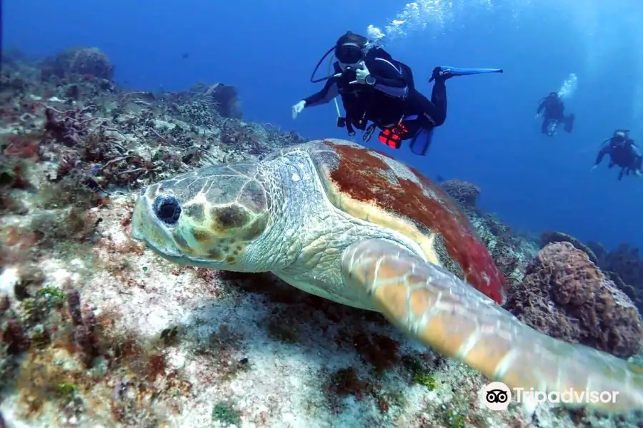 Caribbean Divers Cozumel