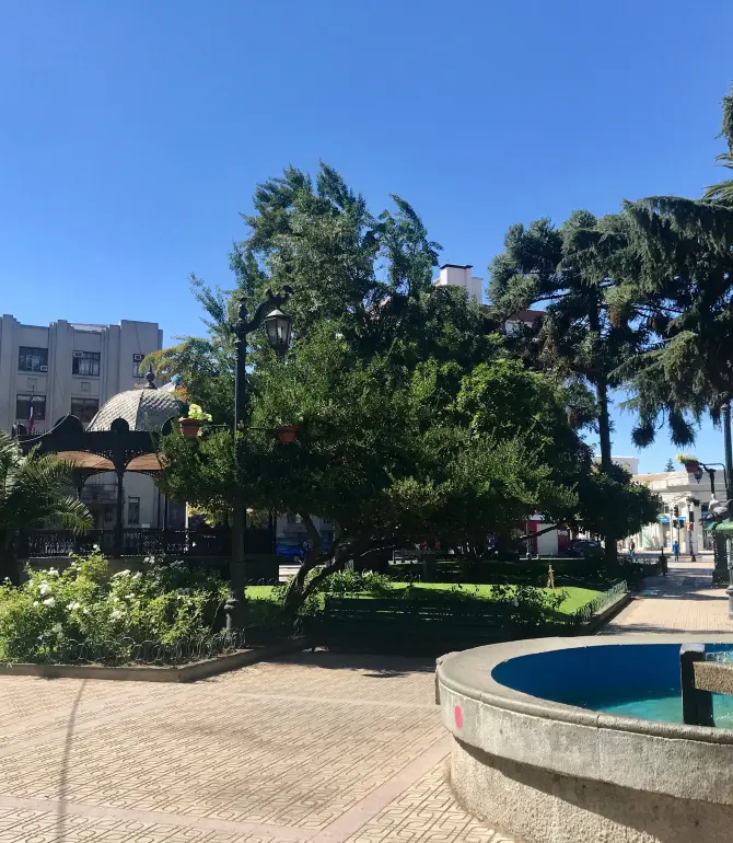 Talca