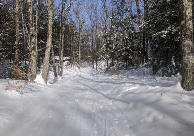 Northfield Mountain Cross Country Ski Area