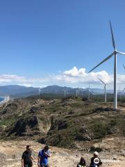 Bangui Windmills