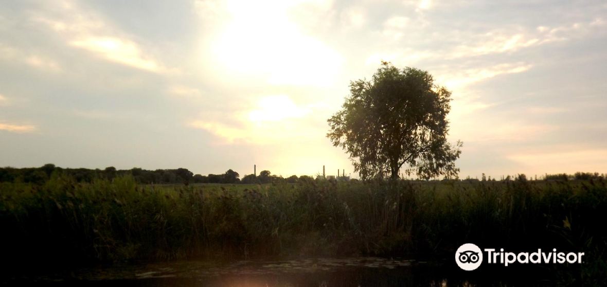 Hampton Township Travel Guide 2023 Things to Do, What To Eat & Tips