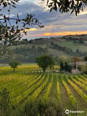 Azienda Agricola Lucarelli Roberto