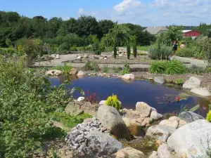 Medicine gardens in Tranekær