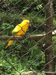 Parque Zoobotanico Do Salvador Da Bahia