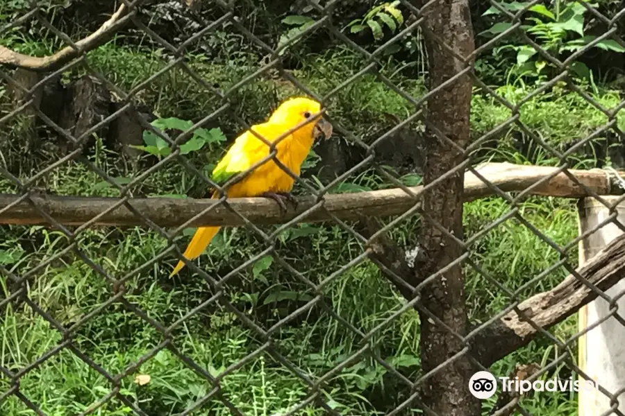 Parque Zoobotanico Do Salvador Da Bahia