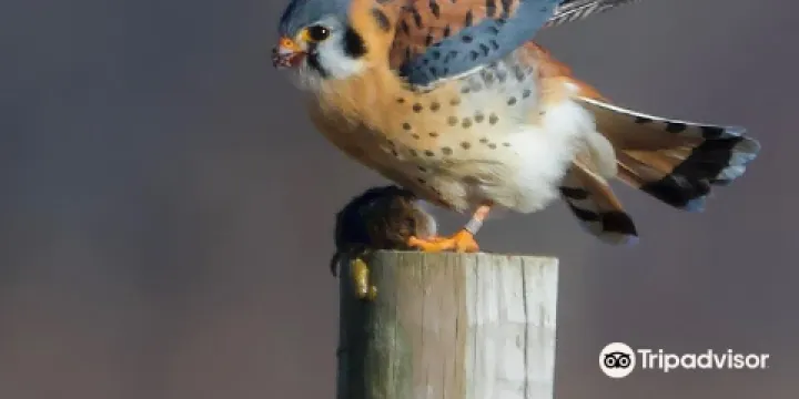 Shawangunk Grasslands National Wildlife Refuge
