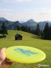 Disc Golf Pays-d'Enhaut