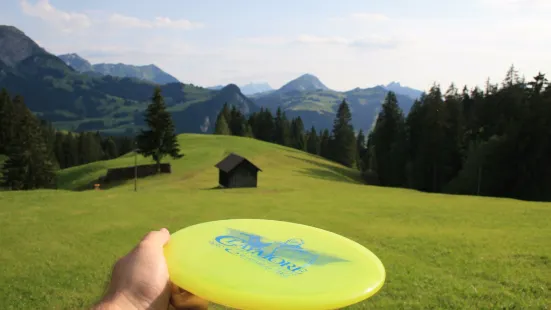 Disc Golf Pays-d'Enhaut