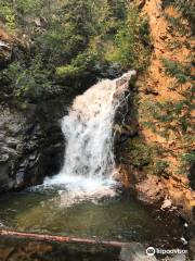 Falls Creek Falls Trail Head