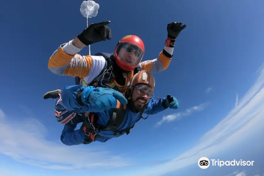 Sky-High Skydiving