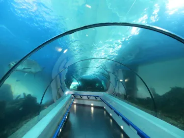 Dominican Republic National Aquarium