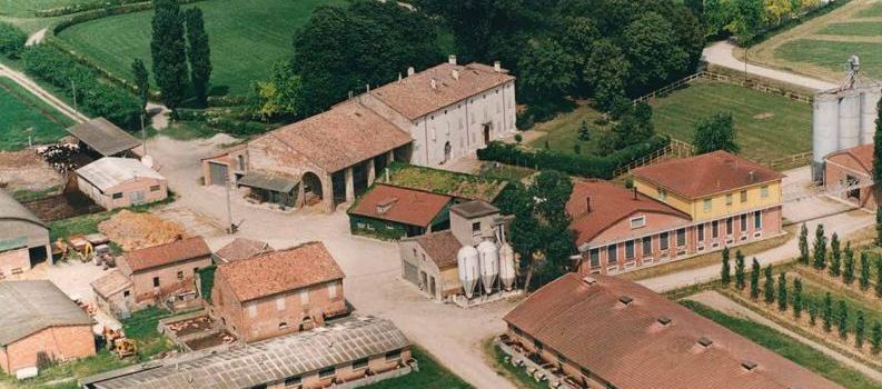 Agricola Guareschi