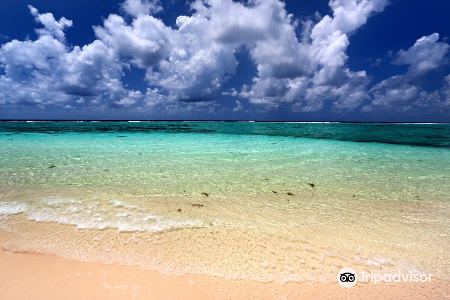 Abu Dhabi to Little Cayman Flights