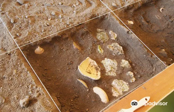 阿列河畔瓦雷訥