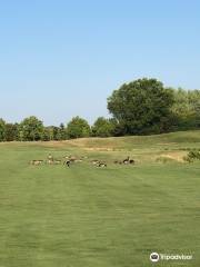 Pheasant Run Golf Club