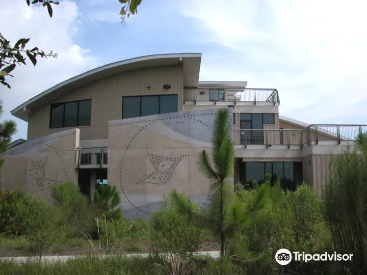 5_Weedon Island Preserve