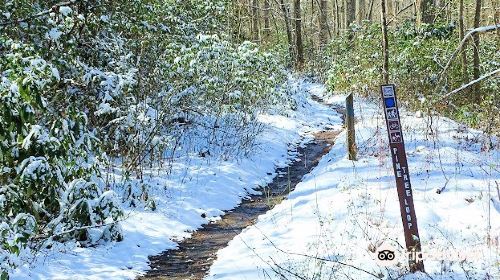 Bent Creek Experimental Forest