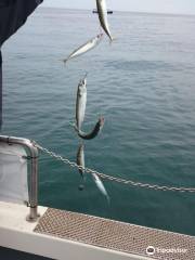 Tenby Fishing Summertime mackerel fishing
