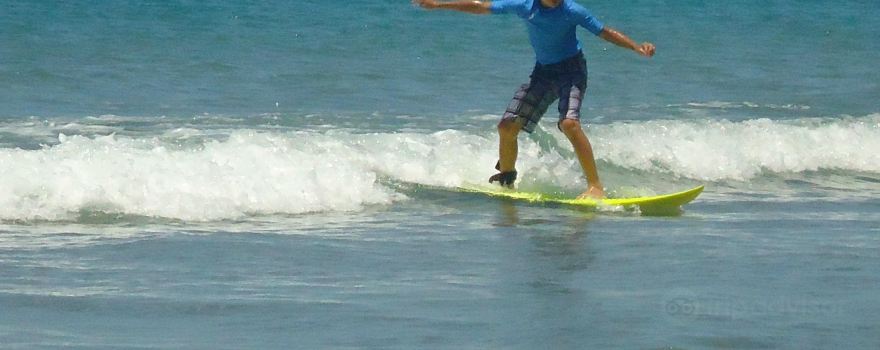 Escola De Surf Meio Da Baleia