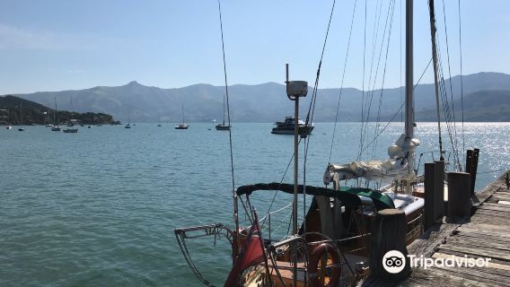 New Zealand Canterbury Region + Ecological Ocean Water Tour one-day tour