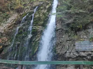 Cascada Urlatoarele