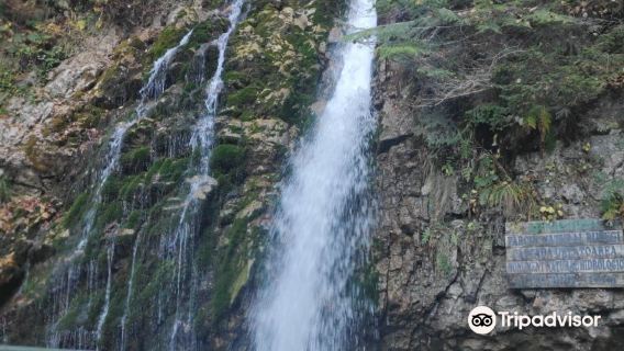 Cascada Urlatoarele