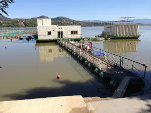 Lacul Călinești Lacul Calinesti