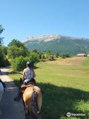 La Ferme des Mille Pattes