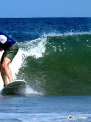 Learn Improve Surf Company