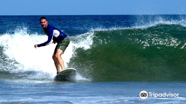 Learn Improve Surf Company