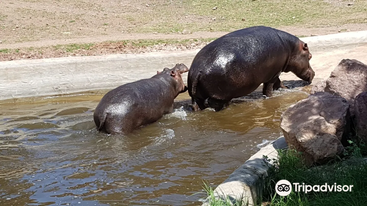 5_Parc Zoologique de Frejus