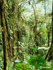 Pacha Quindi Nature Refuge