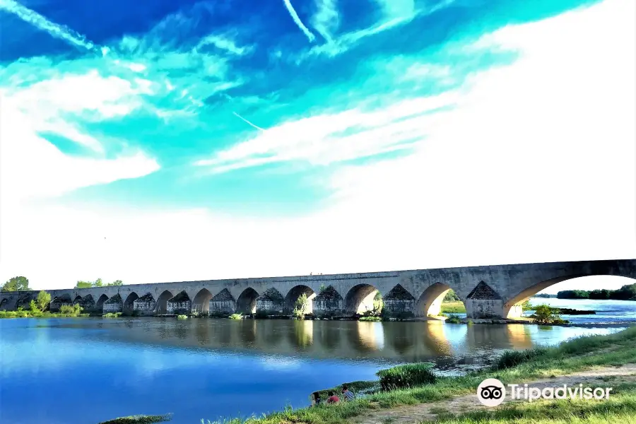 Pont de Beaugency