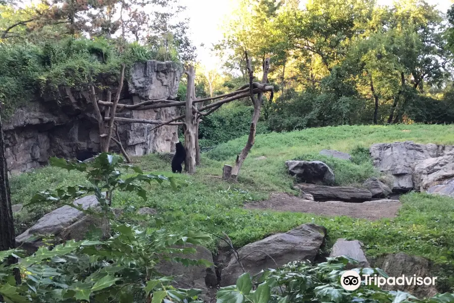 皇后動物園