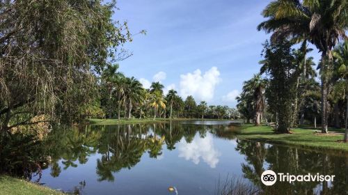 Fairchild Tropical Botanic Garden