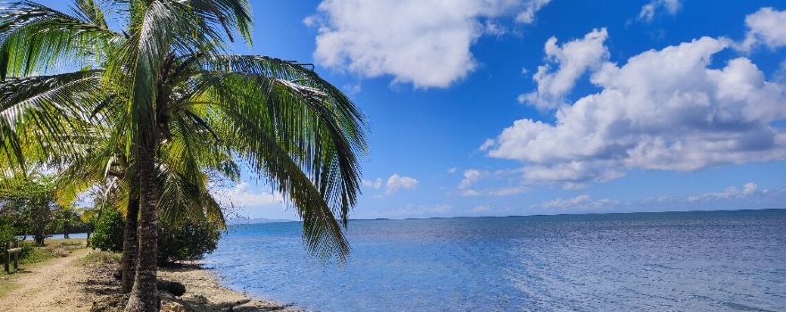 Plage de Babin