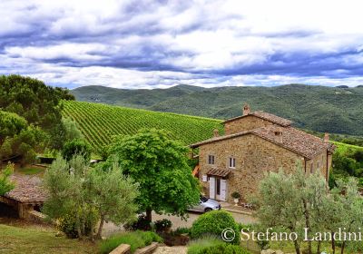 Fattoria di Montemaggio